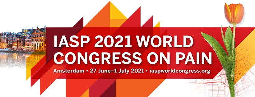 Read more about the article Topical workshop at IASP, 2021